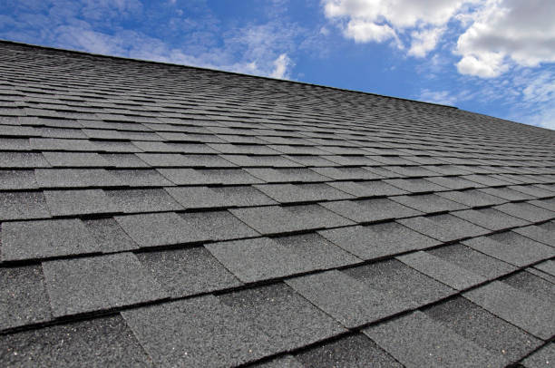 Best Steel Roofing  in Braddock Hills, PA